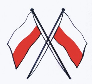 Pilot Flags